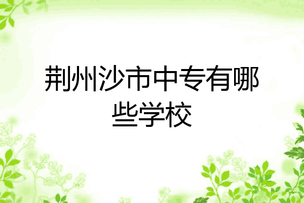 荆州沙市中专有哪些学校