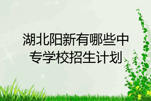 湖北阳新有哪些中专学校招生计划