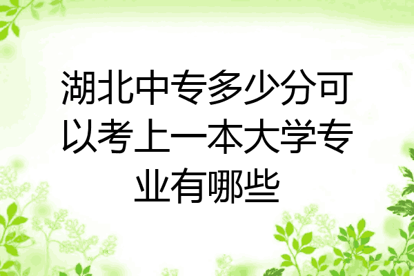 湖北中专多少分可以考上一本大学专业有哪些