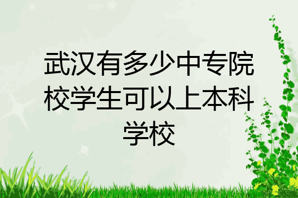 武汉有多少中专院校学生可以上本科学校