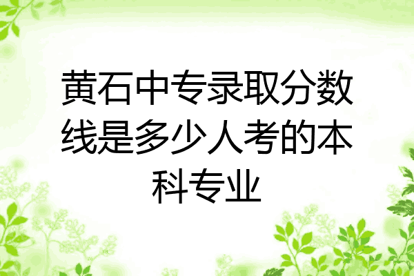 黄石中专录取分数线是多少人考的本科专业