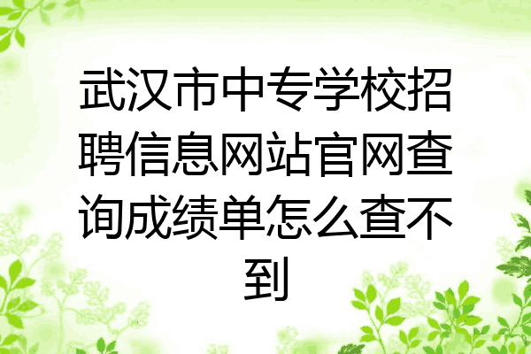 武汉市中专学校招聘信息网站官网查询成绩单怎么查不到