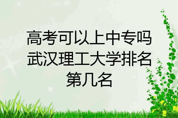 高考可以上中专吗武汉理工大学排名第几名
