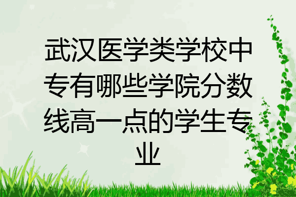 武汉医学类学校中专有哪些学院分数线高一点的学生专业