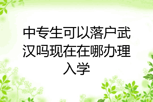 中专生可以落户武汉吗现在在哪办理入学