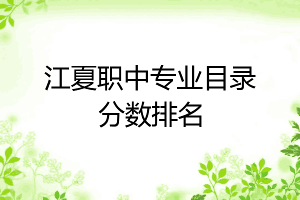 江夏职中专业目录分数排名
