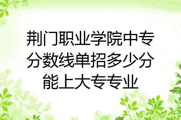 荆门职业学院中专分数线单招多少分能上大专专业