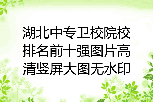 湖北中专卫校院校排名前十强图片高清竖屏大图无水印