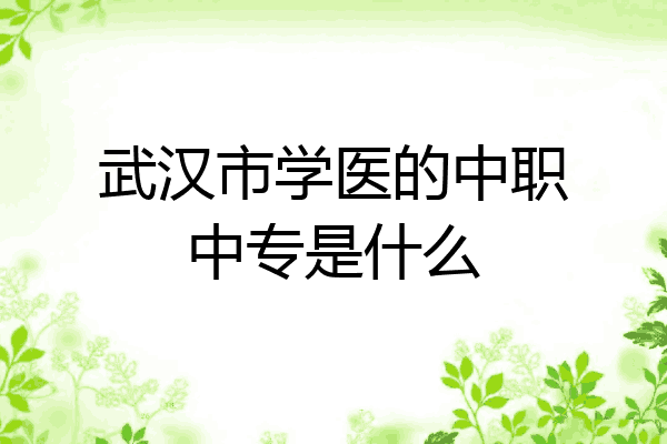 武汉市学医的中职中专是什么