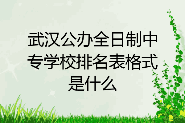 武汉公办全日制中专学校排名表格式是什么