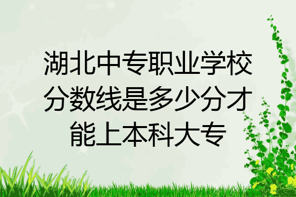 湖北中专职业学校分数线是多少分才能上本科大专