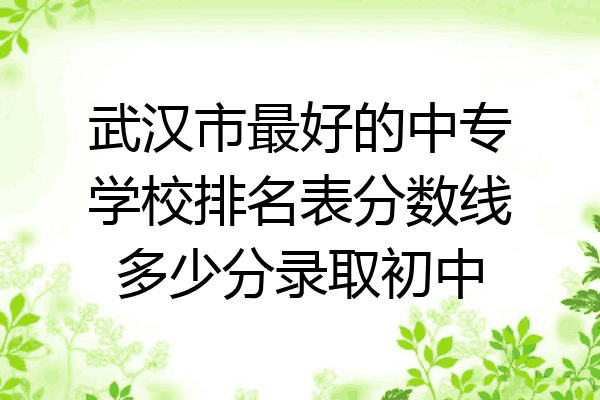 武汉市最好的中专学校排名表分数线多少分录取初中
