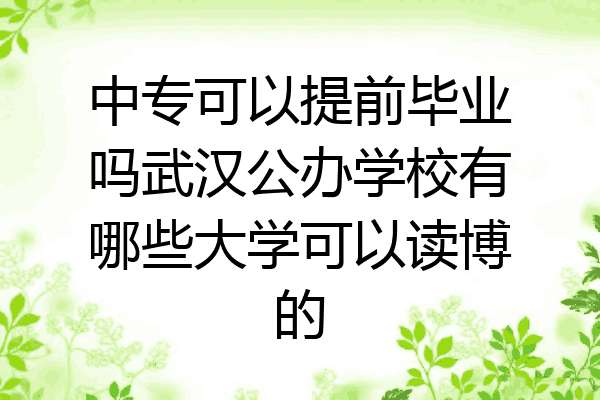 中专可以提前毕业吗武汉公办学校有哪些大学可以读博的