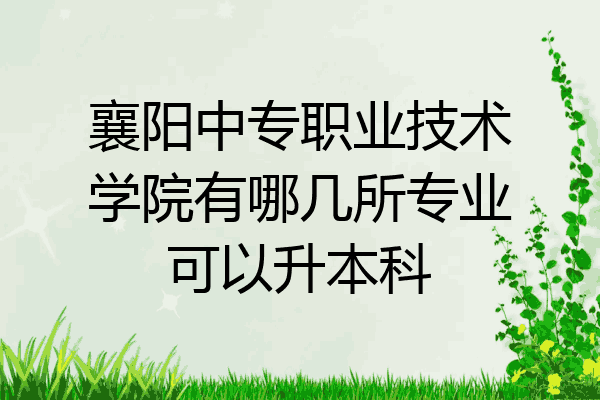 襄阳中专职业技术学院有哪几所专业可以升本科