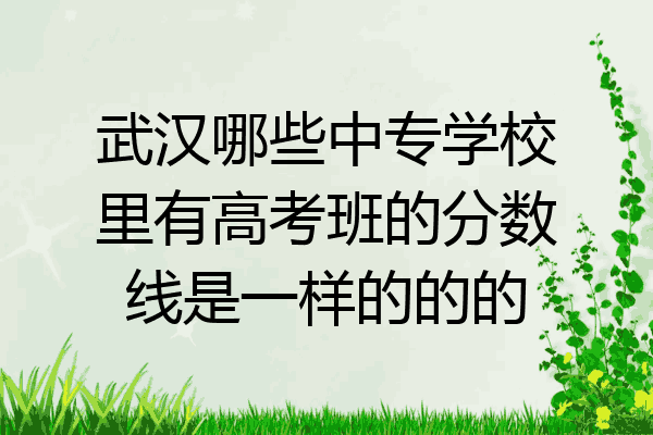 武汉哪些中专学校里有高考班的分数线是一样的的的