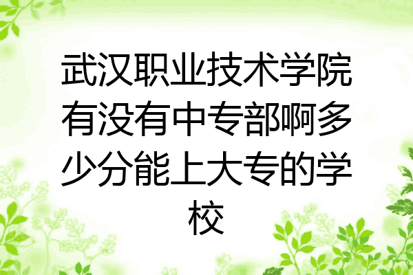 武汉职业技术学院有没有中专部啊多少分能上大专的学校