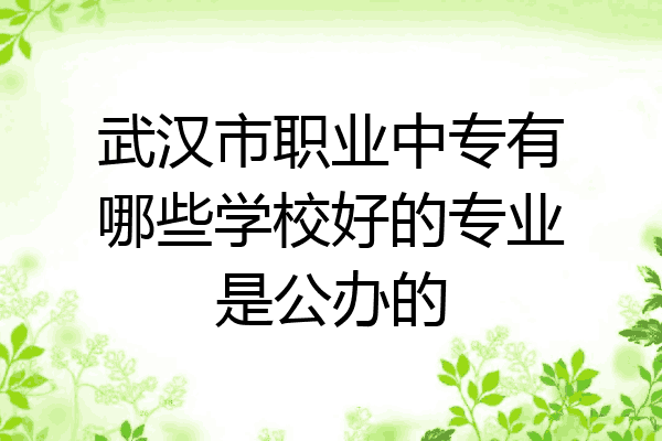 武汉市职业中专有哪些学校好的专业是公办的