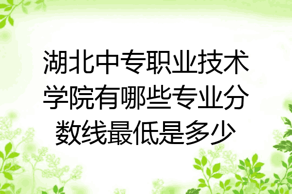 湖北中专职业技术学院有哪些专业分数线最低是多少