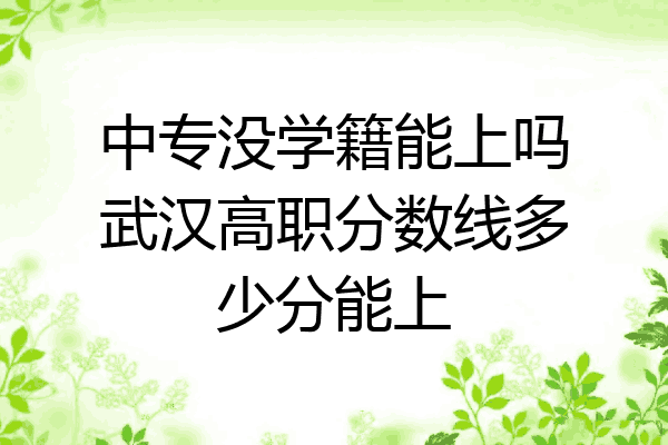 中专没学籍能上吗武汉高职分数线多少分能上