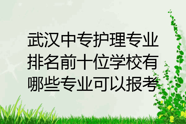 武汉中专护理专业排名前十位学校有哪些专业可以报考
