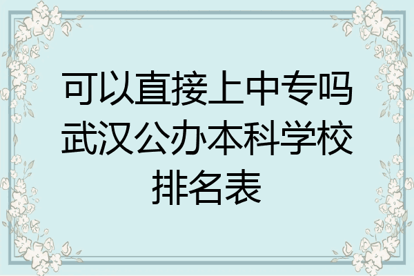 可以直接上中专吗武汉公办本科学校排名表