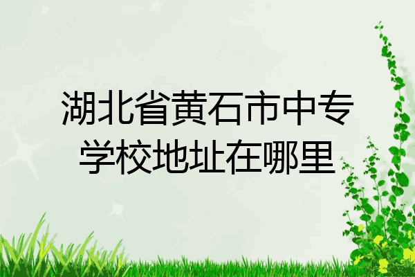 湖北省黄石市中专学校地址在哪里