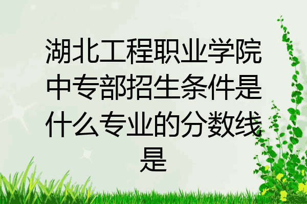 湖北工程职业学院中专部招生条件是什么专业的分数线是
