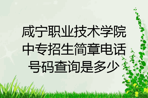 咸宁职业技术学院中专招生简章电话号码查询是多少