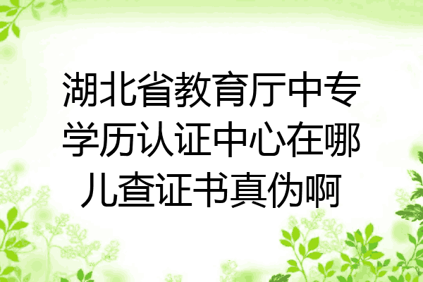 湖北省教育厅中专学历认证中心在哪儿查证书真伪啊