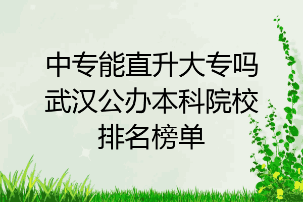 中专能直升大专吗武汉公办本科院校排名榜单