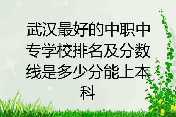 武汉最好的中职中专学校排名及分数线是多少分能上本科