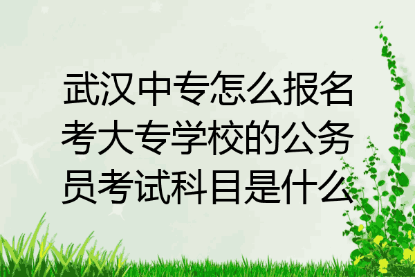 武汉中专怎么报名考大专学校的公务员考试科目是什么