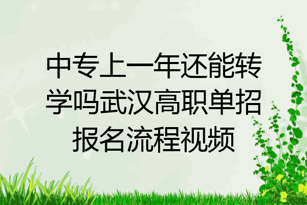 中专上一年还能转学吗武汉高职单招报名流程视频