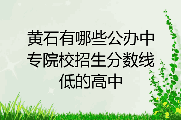 黄石有哪些公办中专院校招生分数线低的高中