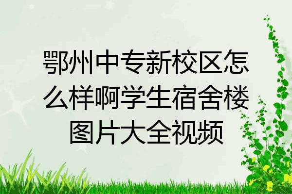 鄂州中专新校区怎么样啊学生宿舍楼图片大全视频