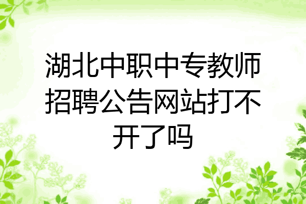 湖北中职中专教师招聘公告网站打不开了吗