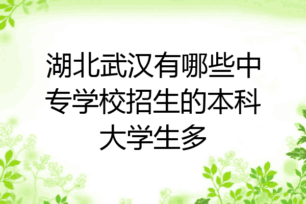 湖北武汉有哪些中专学校招生的本科大学生多