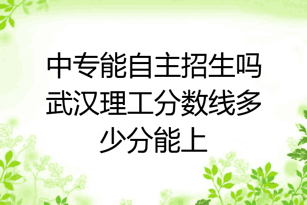 中专能自主招生吗武汉理工分数线多少分能上