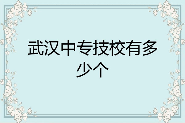 武汉中专技校有多少个