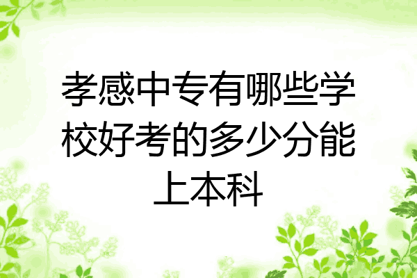 孝感中专有哪些学校好考的多少分能上本科