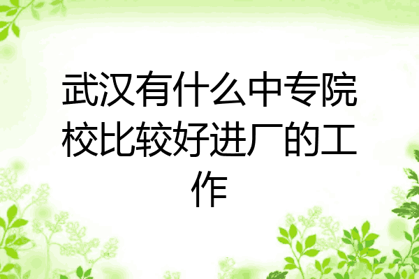 武汉有什么中专院校比较好进厂的工作