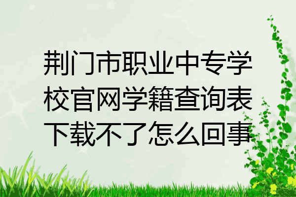 荆门市职业中专学校官网学籍查询表下载不了怎么回事
