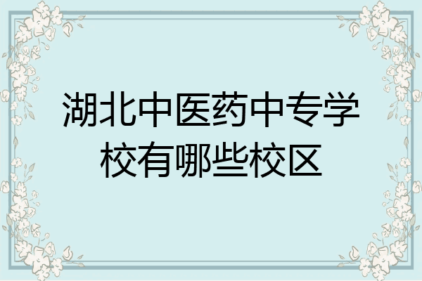 湖北中医药中专学校有哪些校区