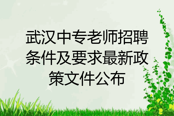 武汉中专老师招聘条件及要求最新政策文件公布