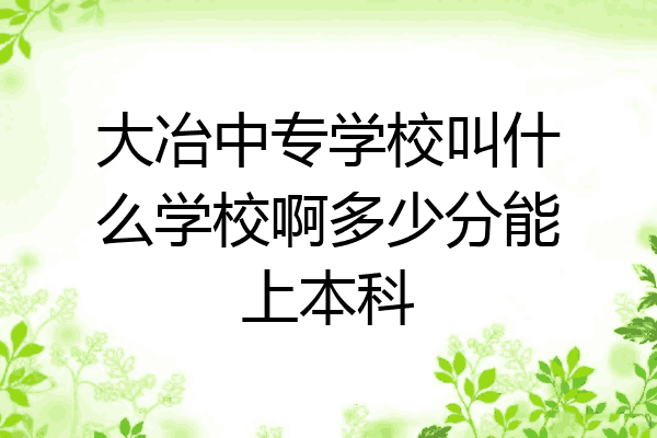 大冶中专学校叫什么学校啊多少分能上本科
