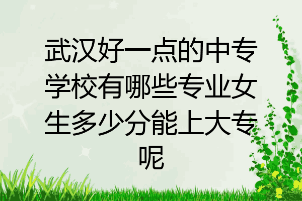 武汉好一点的中专学校有哪些专业女生多少分能上大专呢
