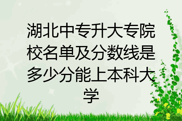 湖北中专升大专院校名单及分数线是多少分能上本科大学