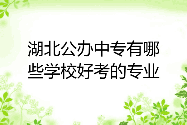 湖北公办中专有哪些学校好考的专业