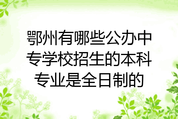 鄂州有哪些公办中专学校招生的本科专业是全日制的