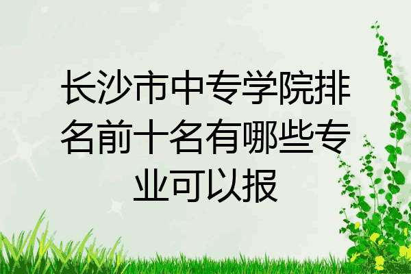 长沙市中专学院排名前十名有哪些专业可以报